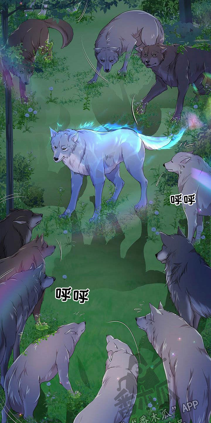 第137章：【第二季】声音4