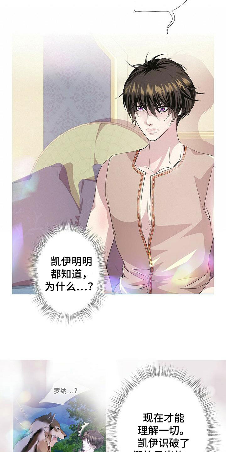 第149章：【第二季】银发4