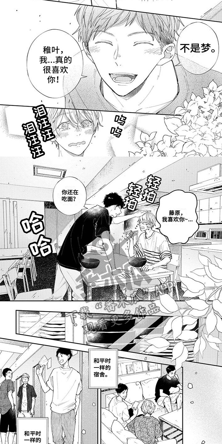 第52章：当面表白4