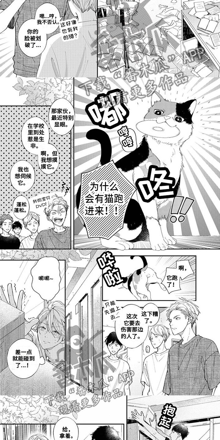 第45章：出状况2