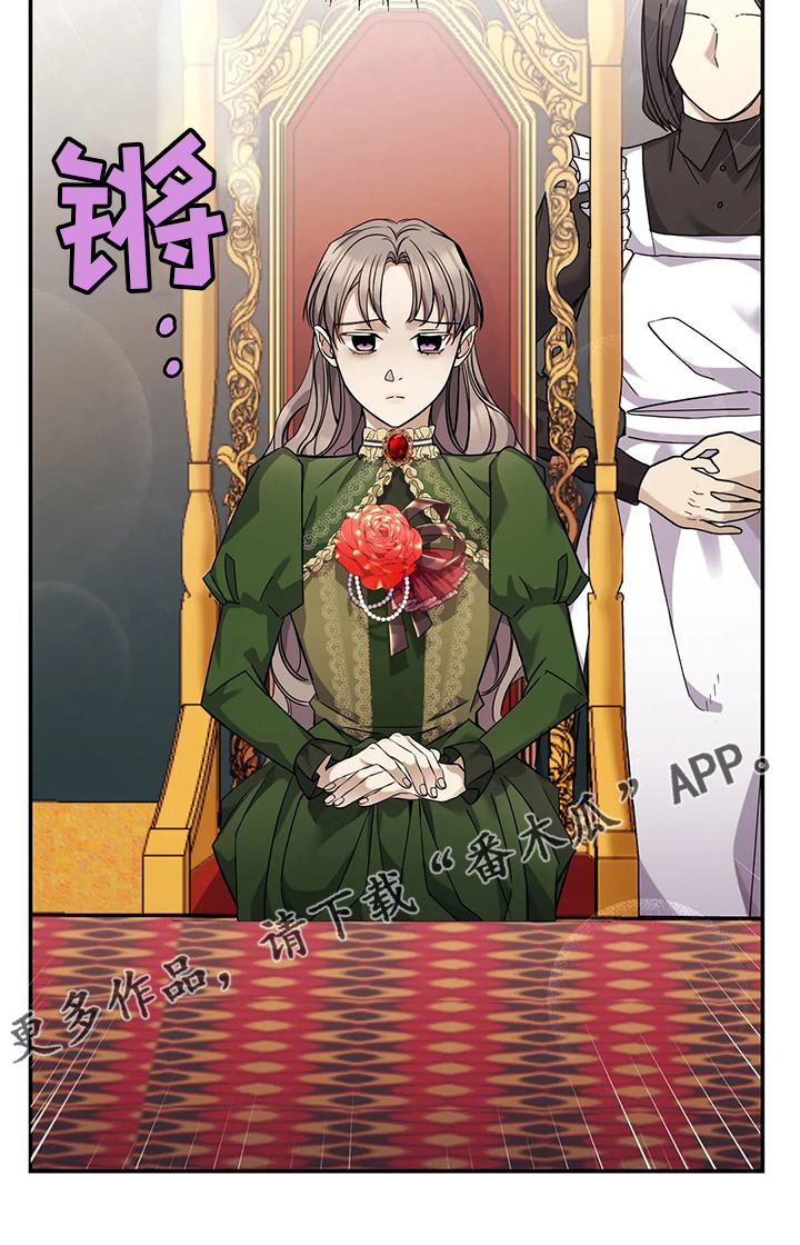 第35章：意大利面4