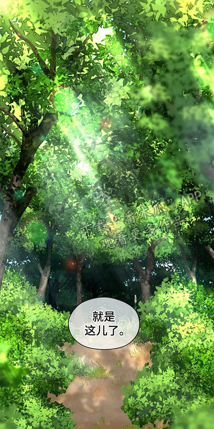 第14章：好奇4