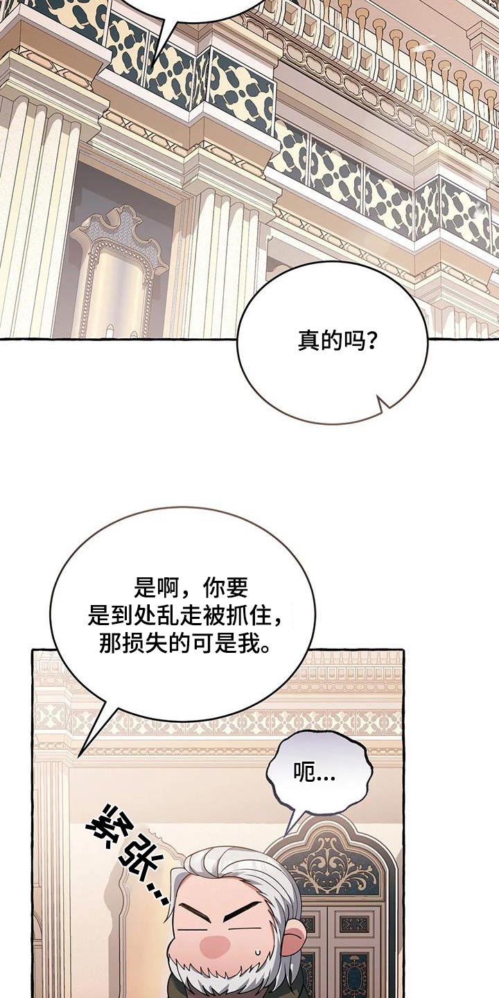 第120章：安排4