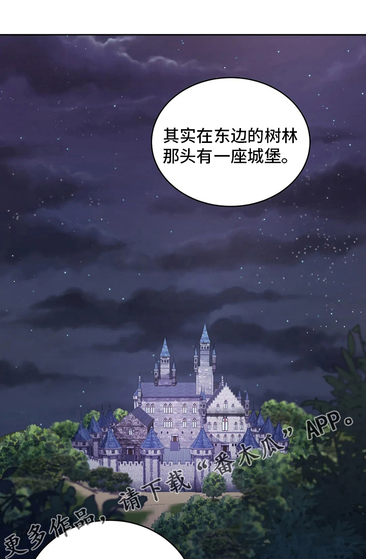 第42章：城堡0