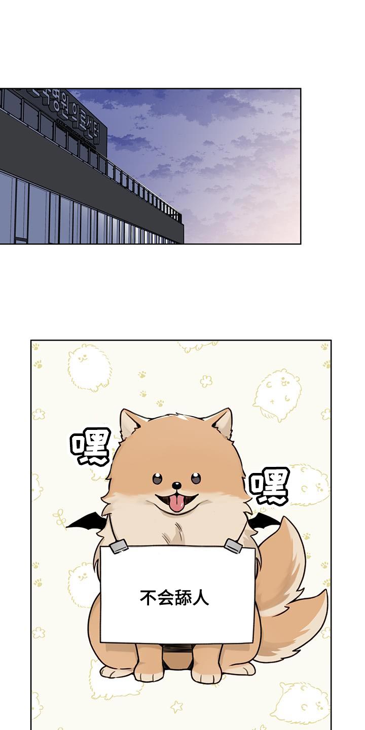 第19章：副作用0