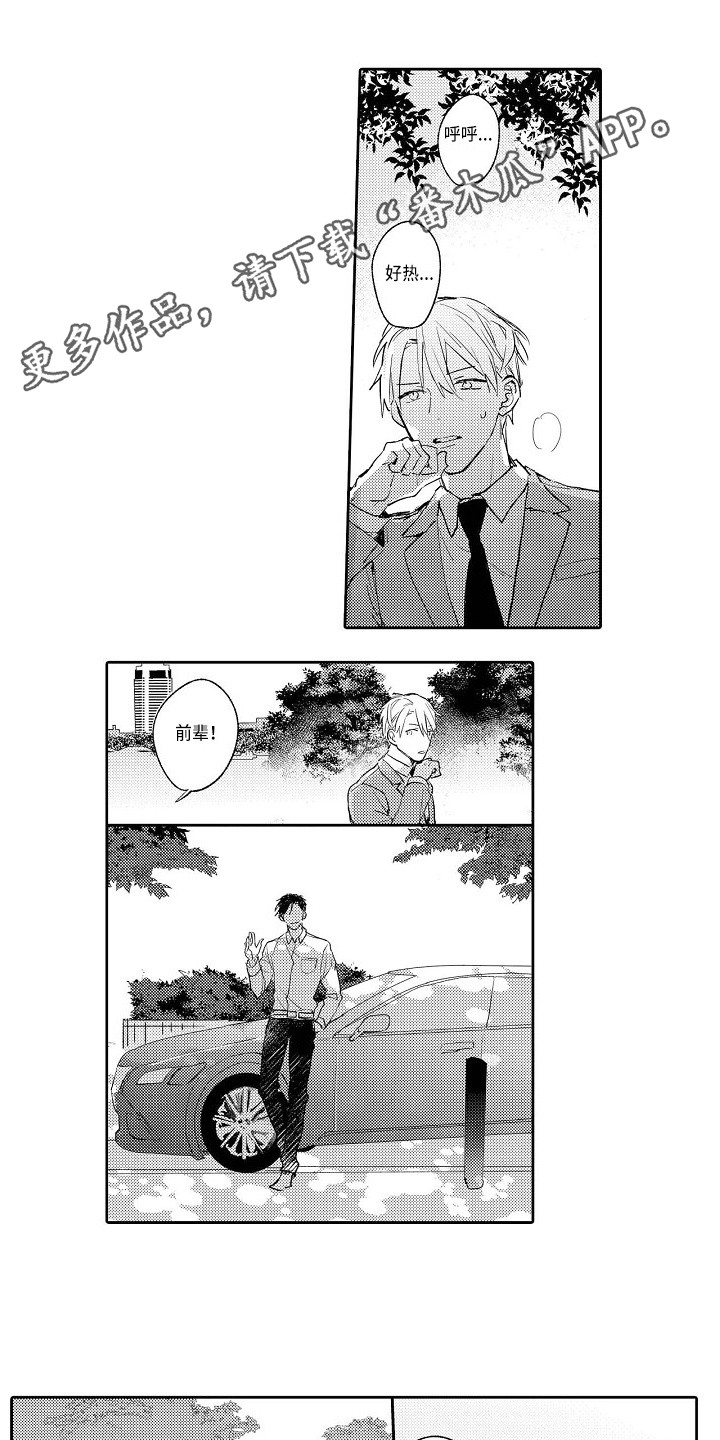 第21章：恢复平静3