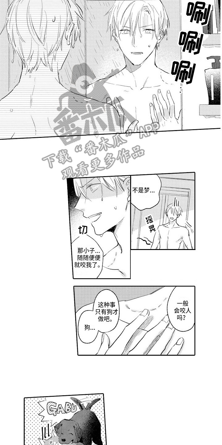 第5章：和平常一样1