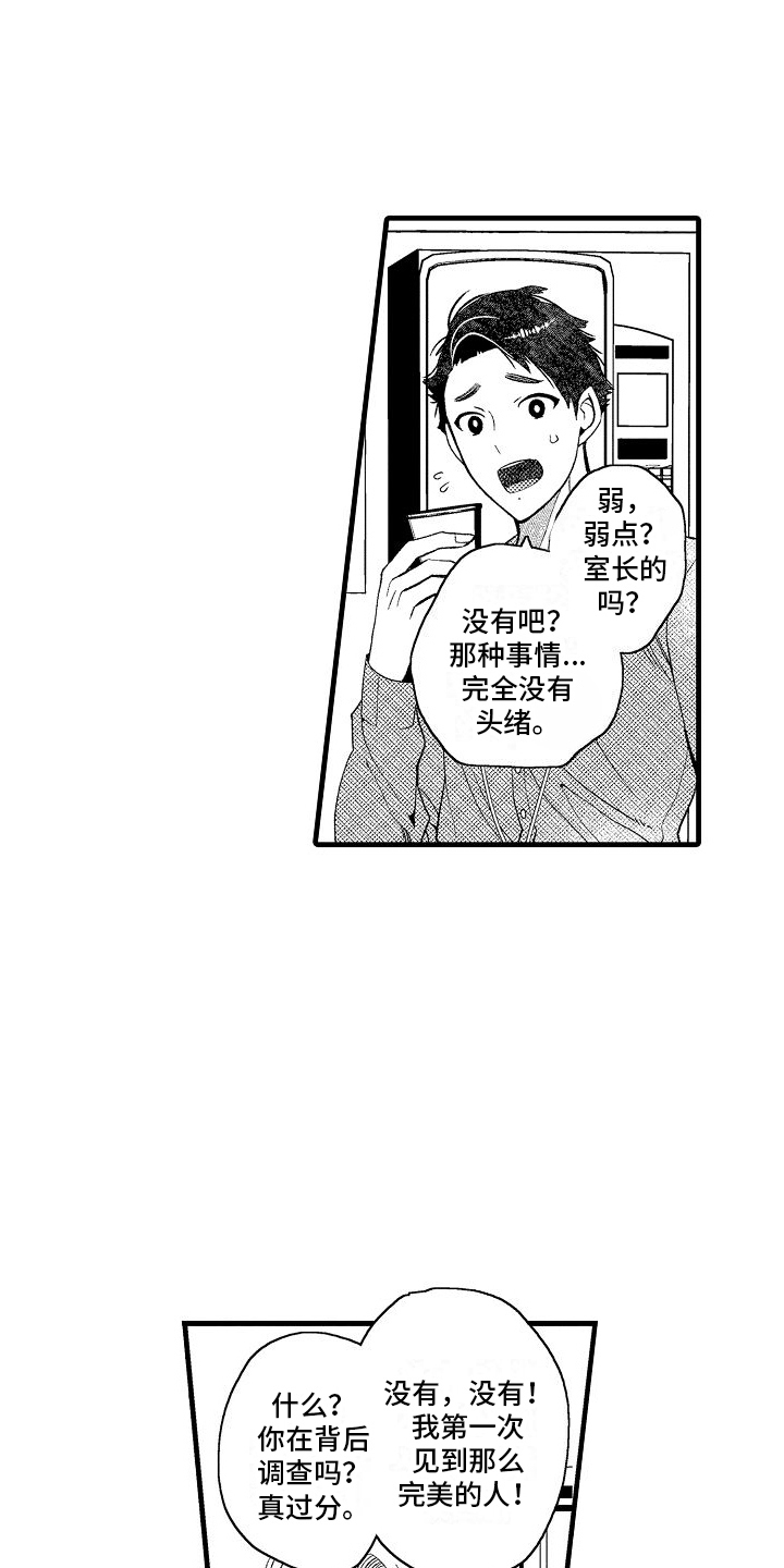 第13章：寻找弱点0