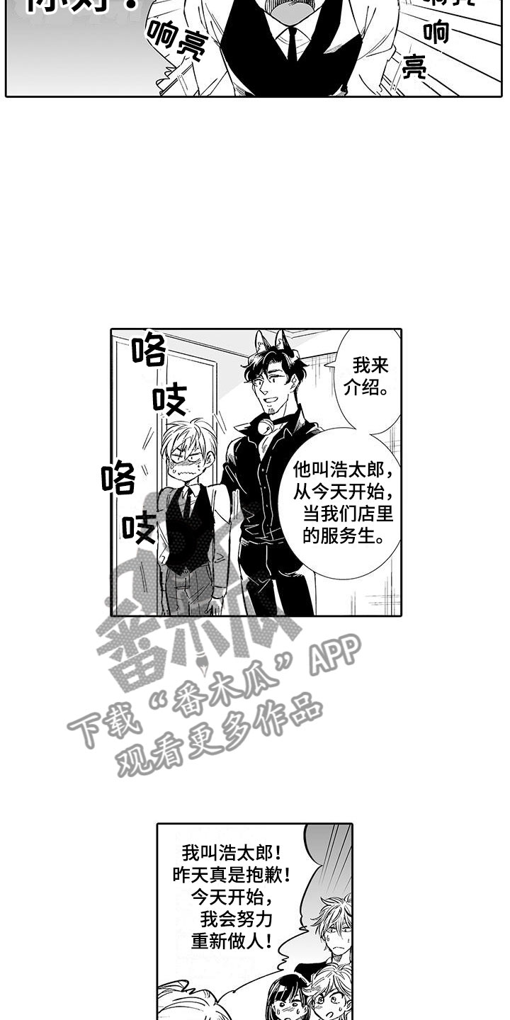 第6章：奶酪猫4