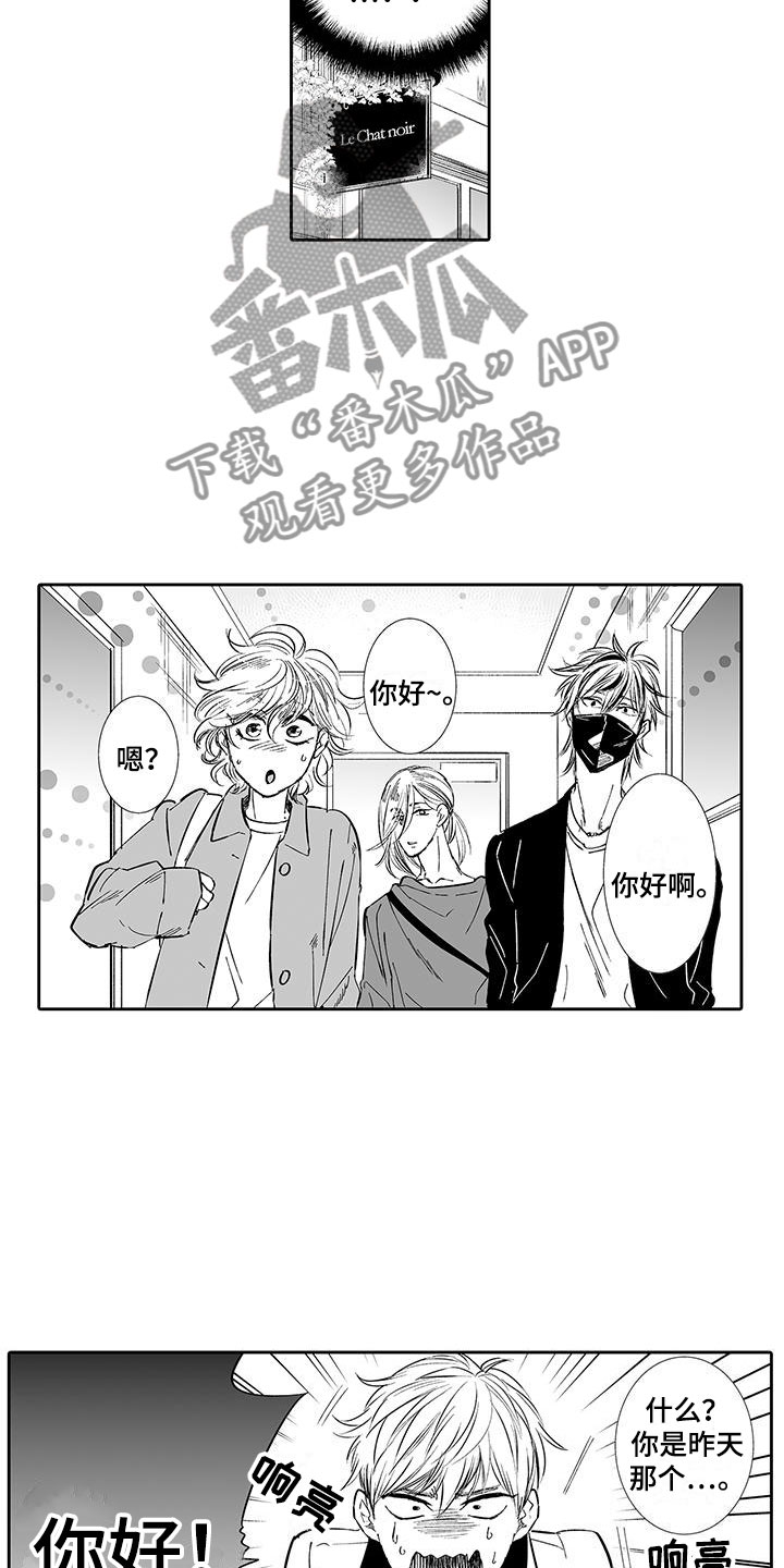 第6章：奶酪猫3