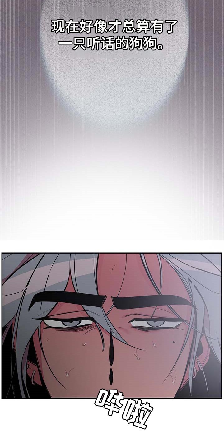 第40章：【第二季】守株待兔4