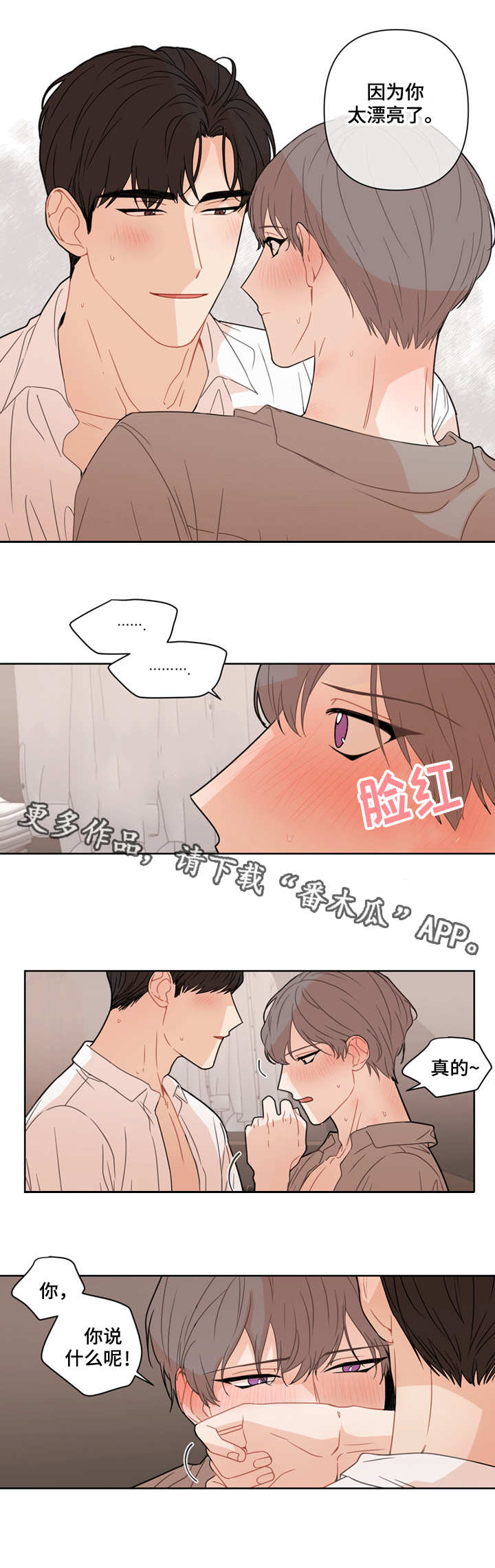 第12章：脸3