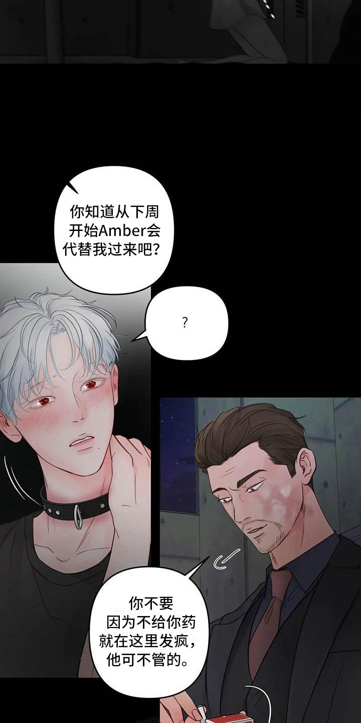第20章：驯养：心爱的4