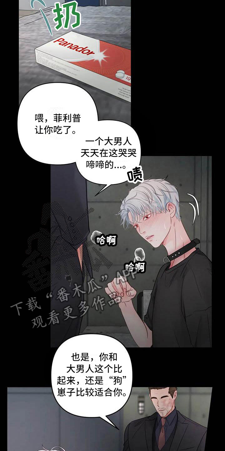 第20章：驯养：心爱的2