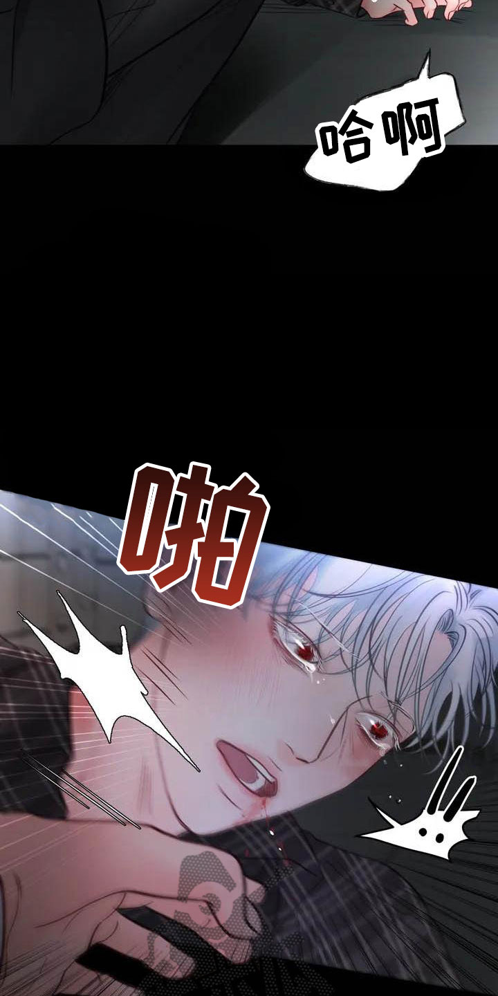 第16章：驯养：海伦4