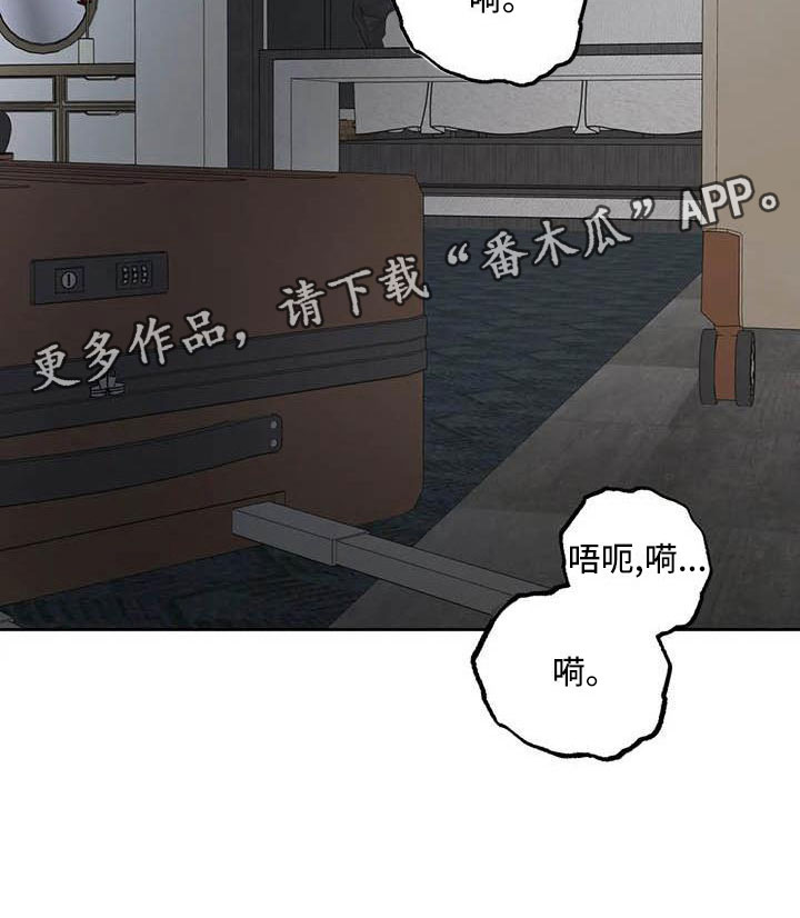 第19章：驯养：我想要的4