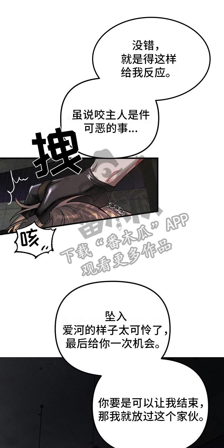 第62章：养狗：输了0