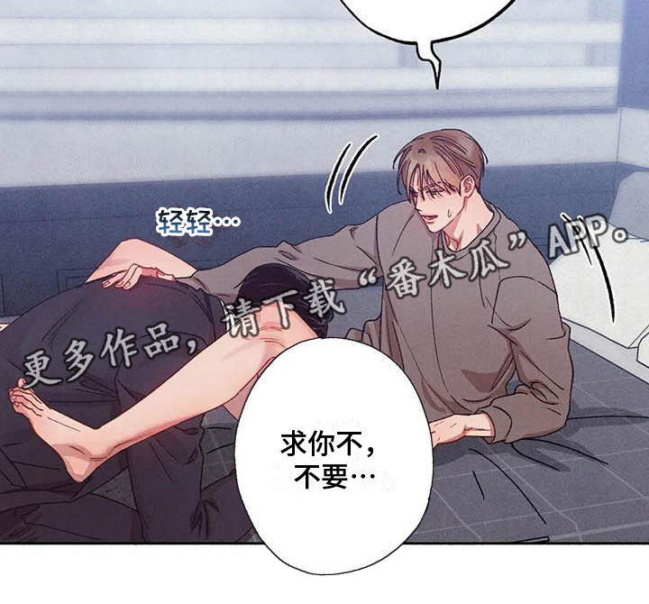 第71章：请，糖果！：失去理智0