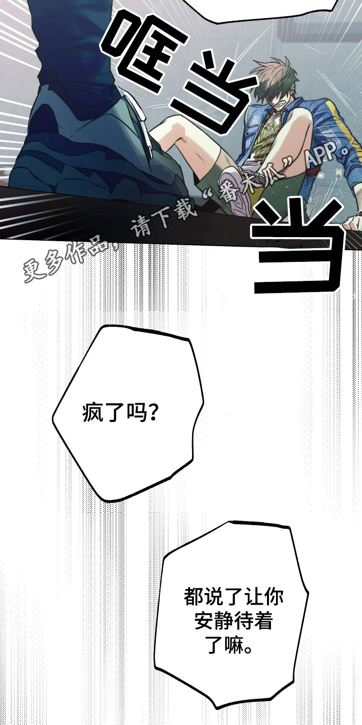 第9章：更像疯子4