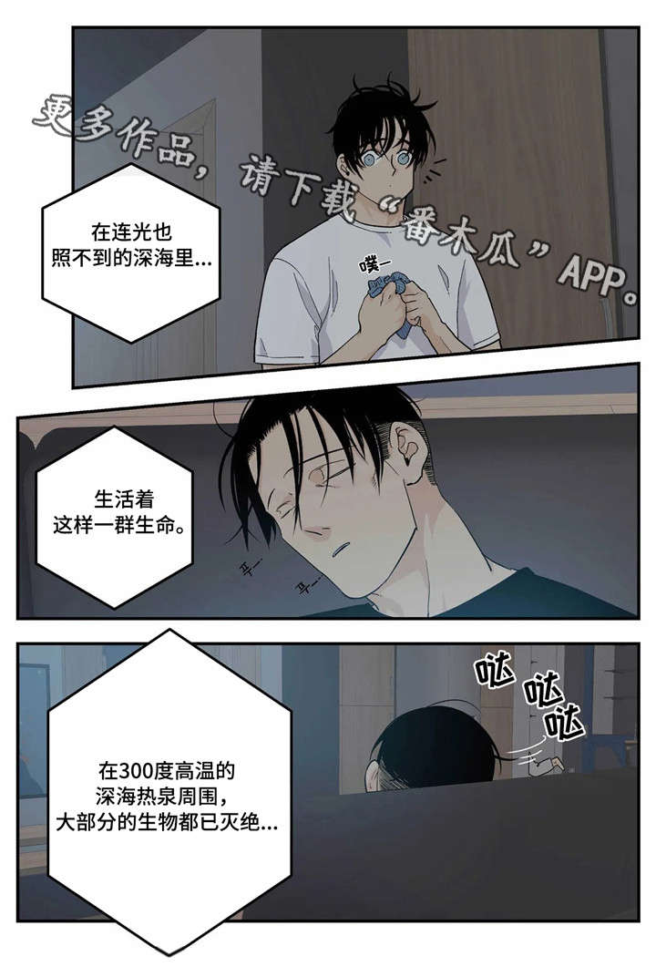 第17章：马仔0