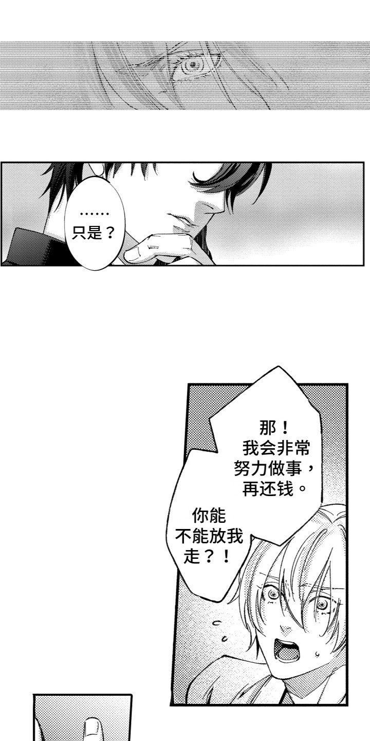 第3章：产生兴趣4