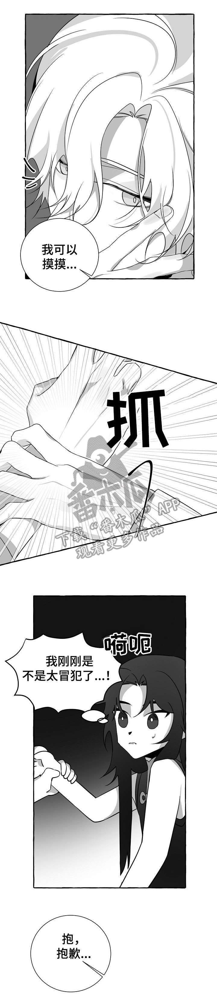第17章：感觉4