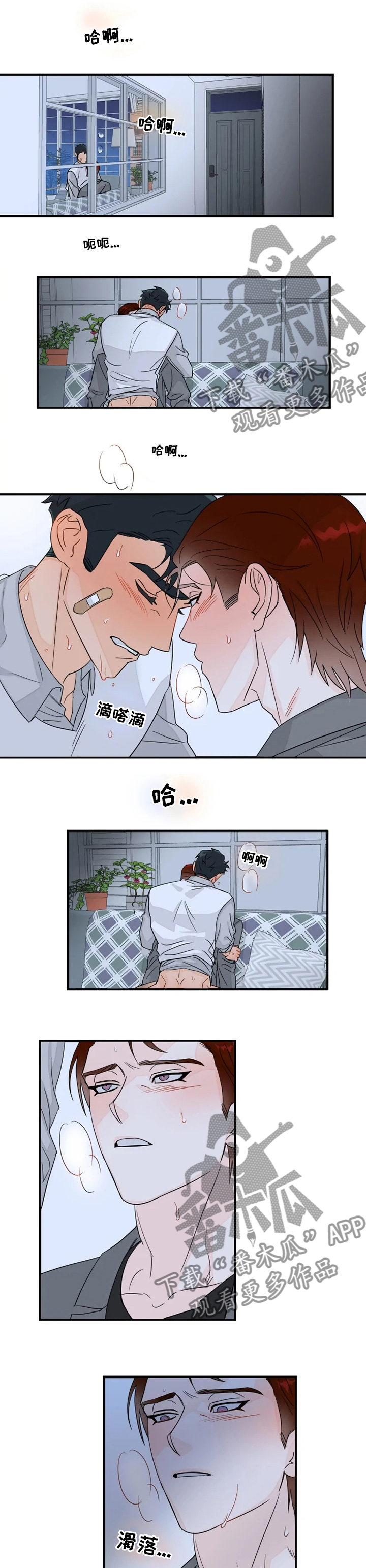 第35章：不要勉强0