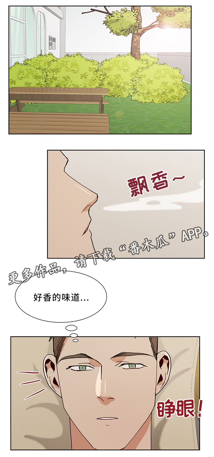 第52章：再见啦 哥4
