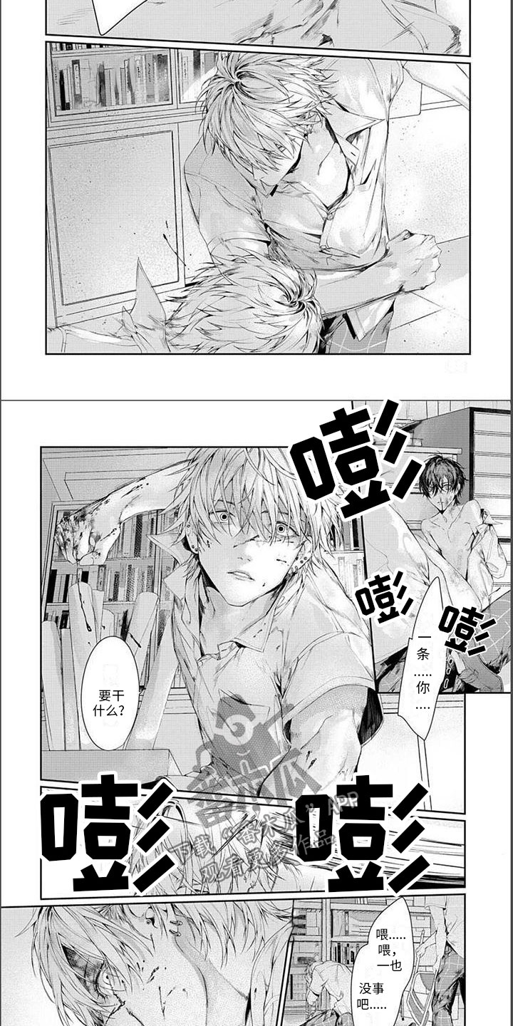 第14章：可以了1