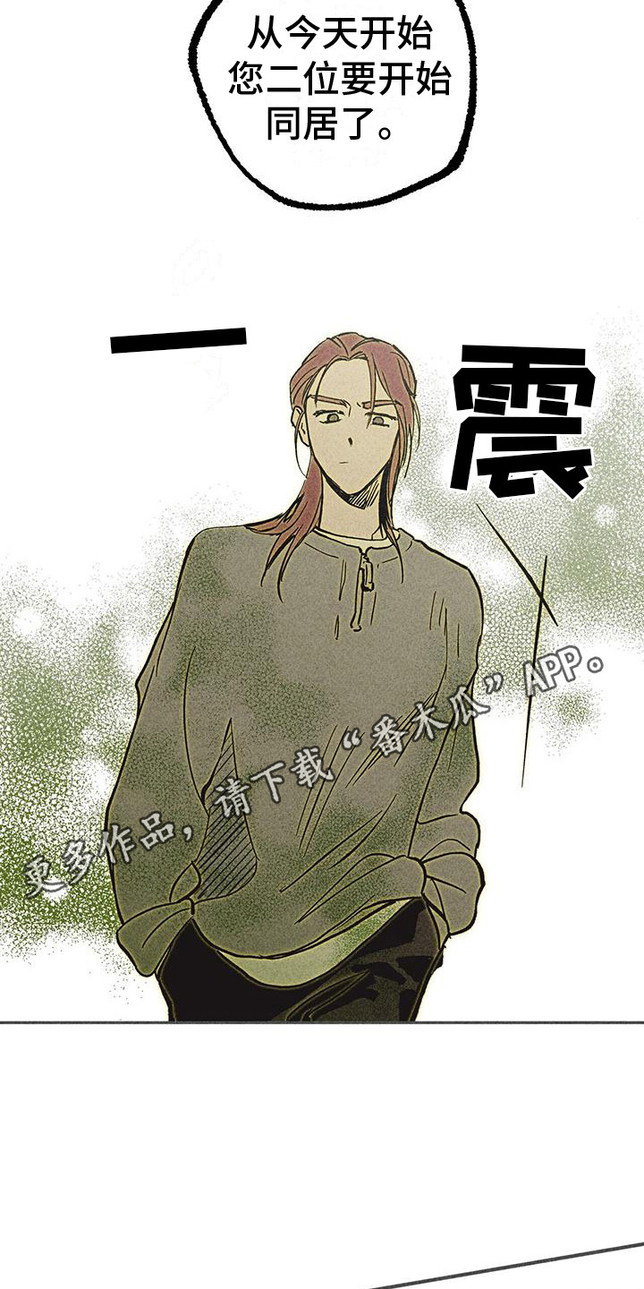 第8章：好奇心4