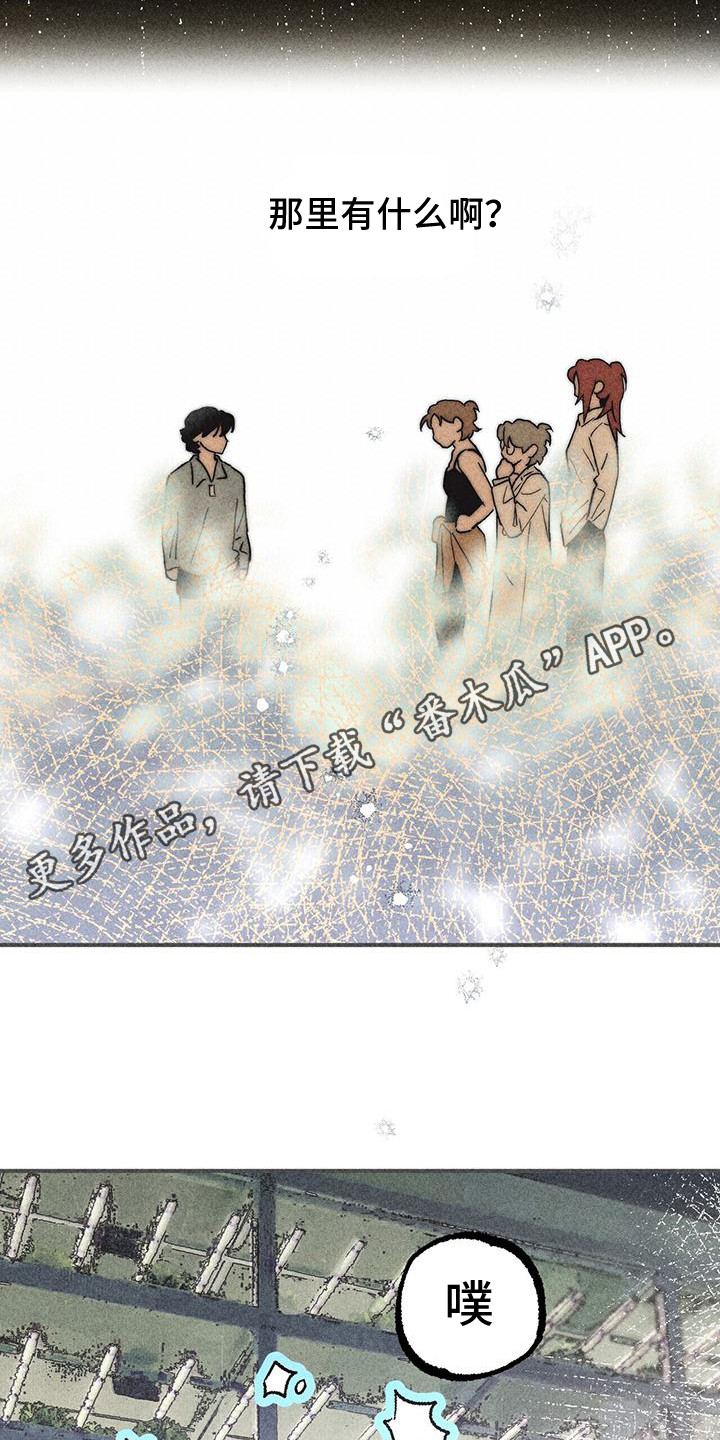 第15章：胡萝卜4