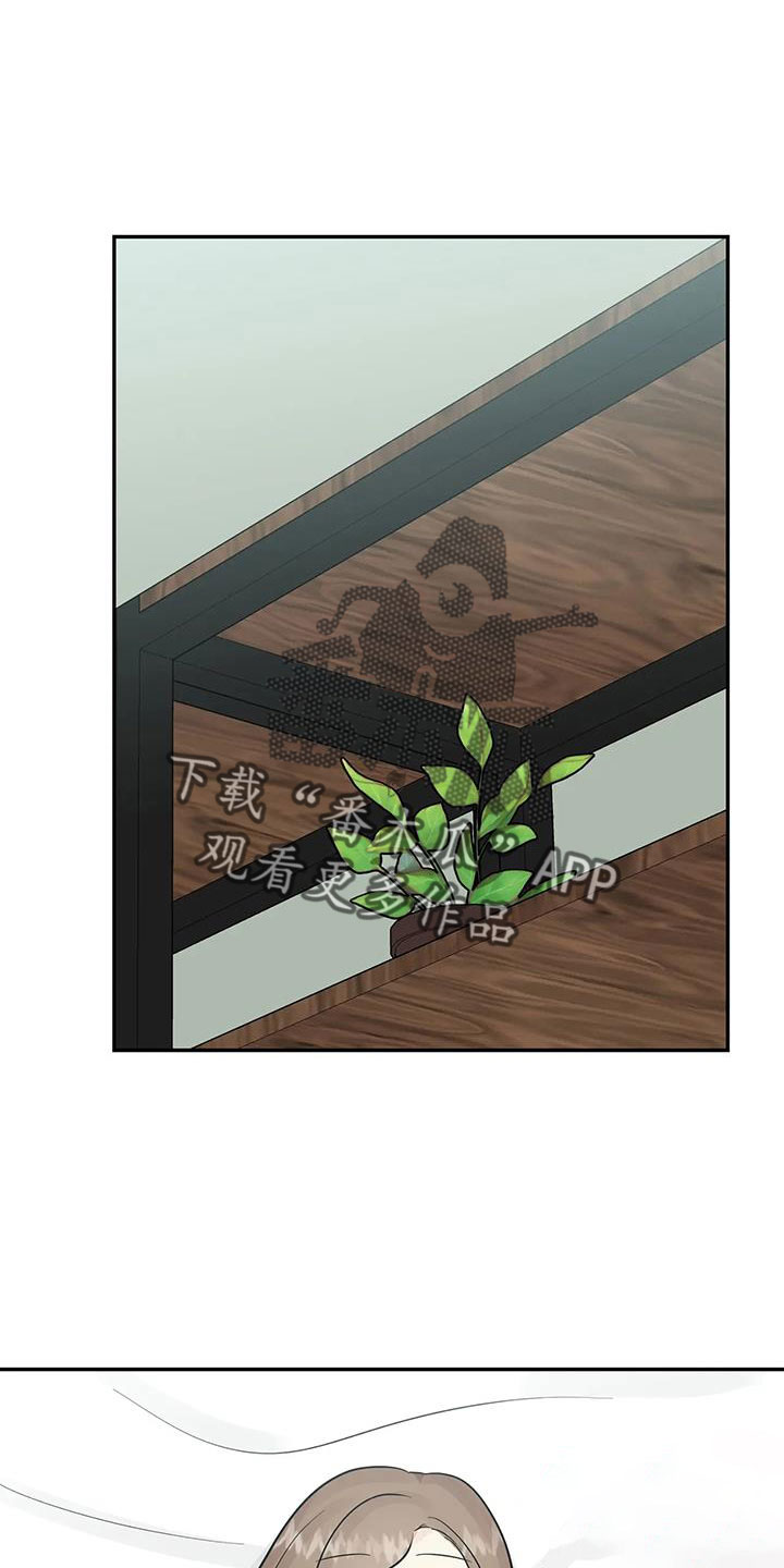 第60章：【第二季完结】学会爱情0