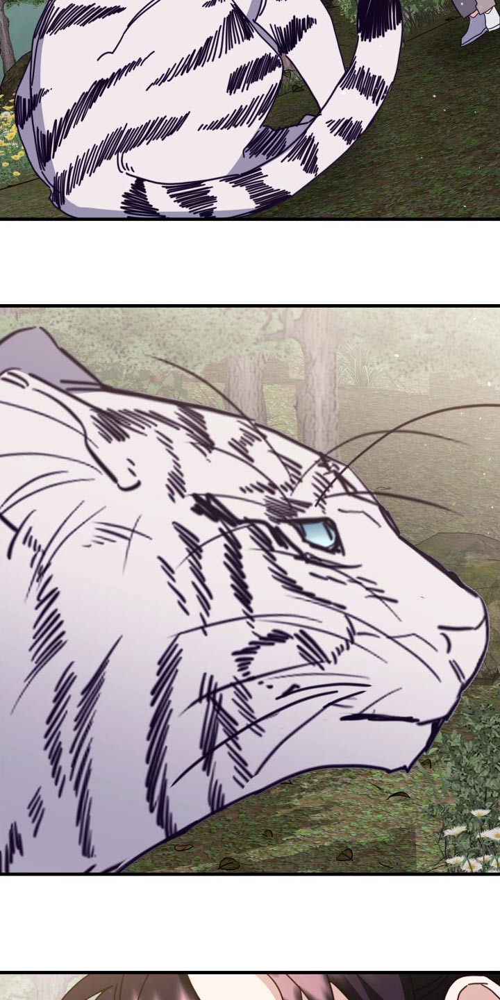 第82章：你赢了3