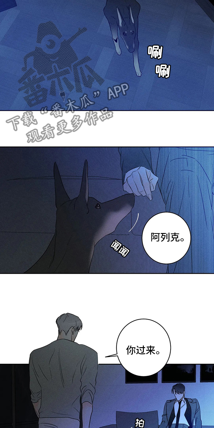 第50章：【第二季】期待4