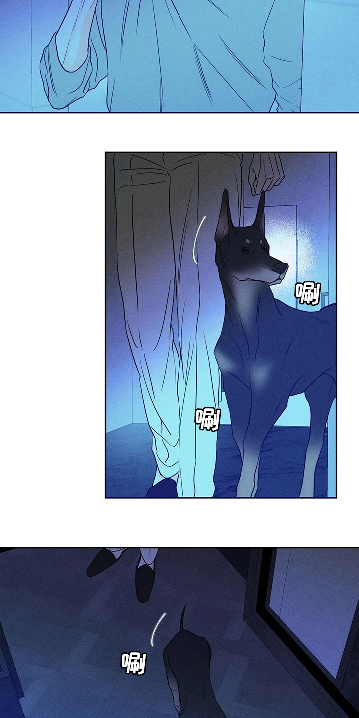 第50章：【第二季】期待3