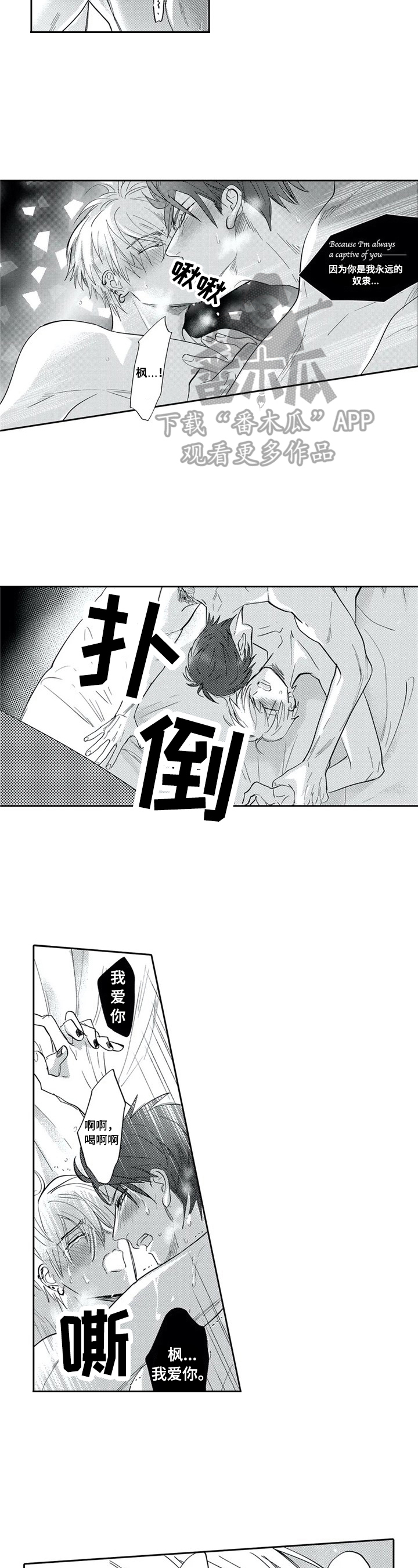 第29章：带回家4