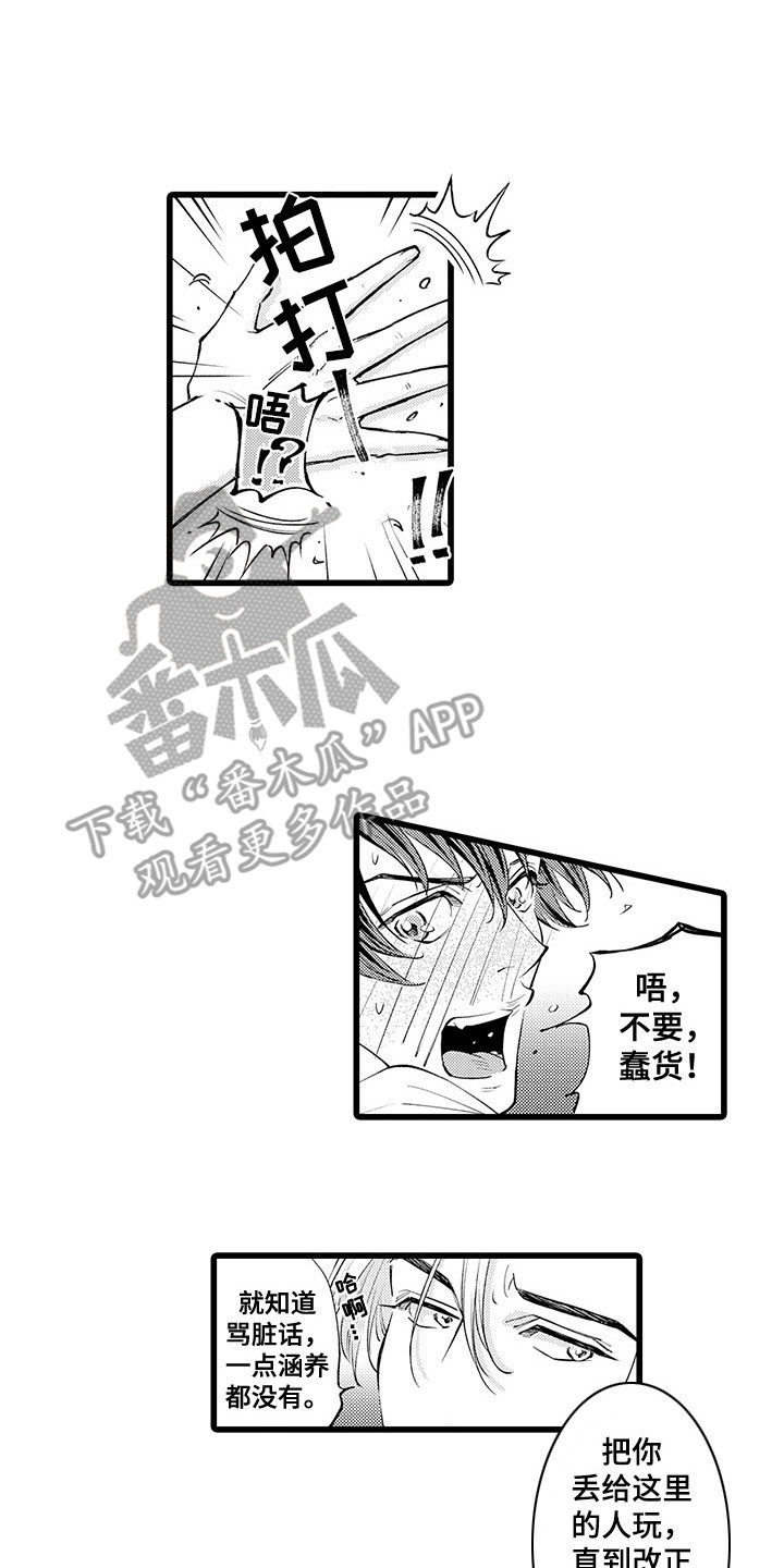 第5章：礼仪房0