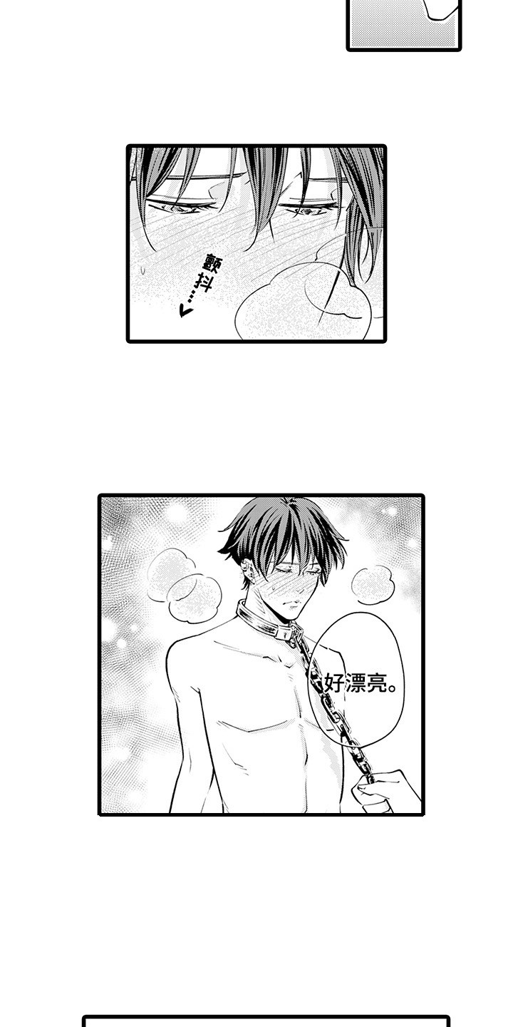 第17章： 成为专属4