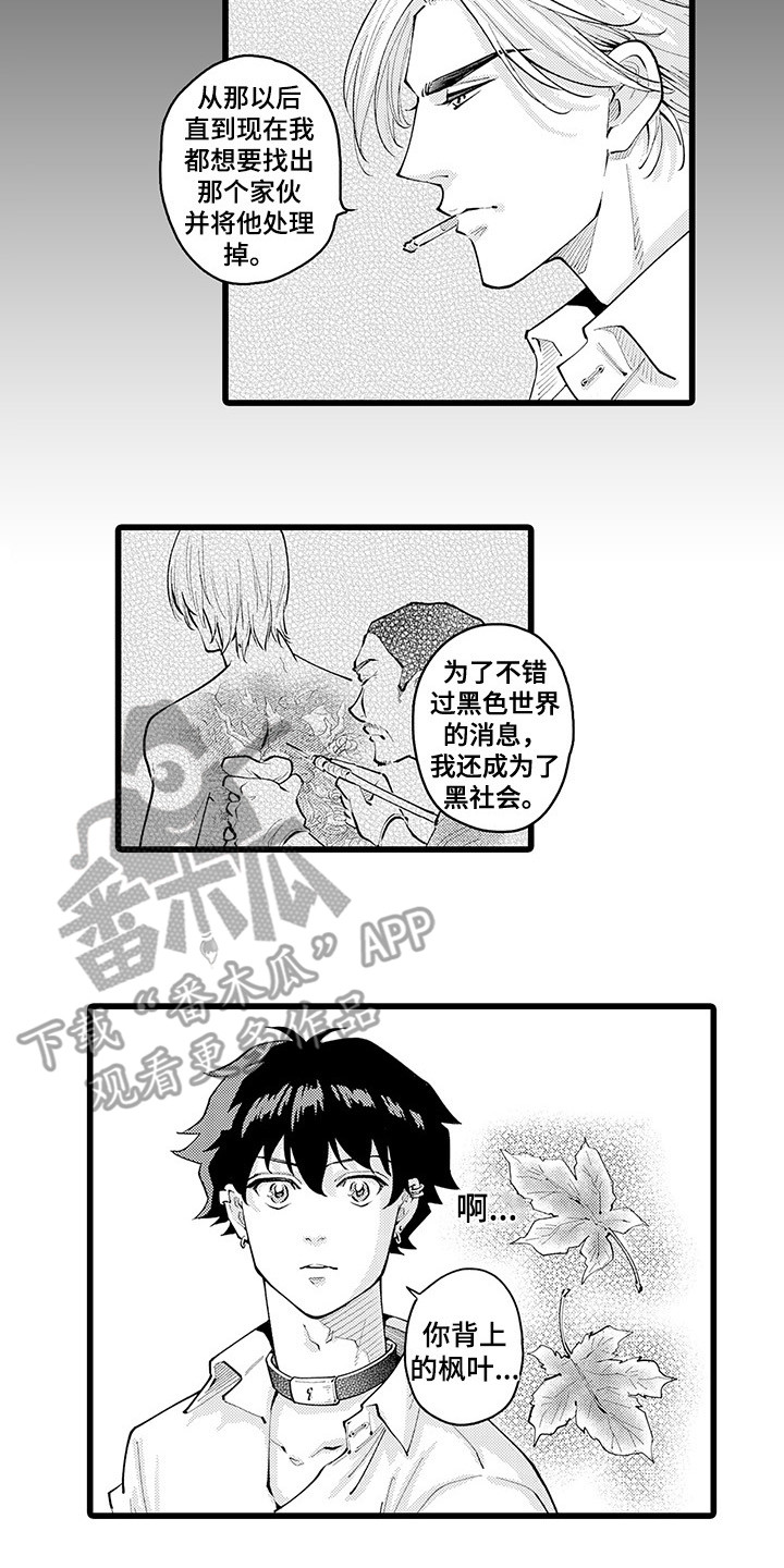 第26章：不后悔1