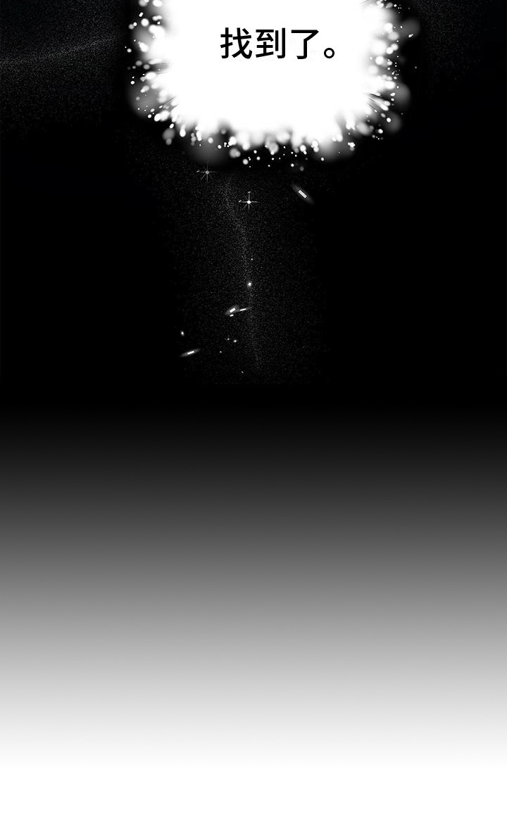 第19章：找到了4