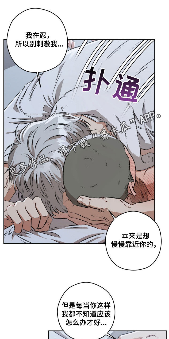 第104章：【第二季】更喜欢了0