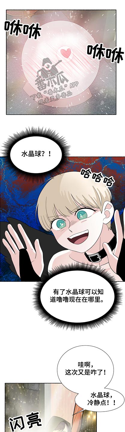 第61章：水晶球1