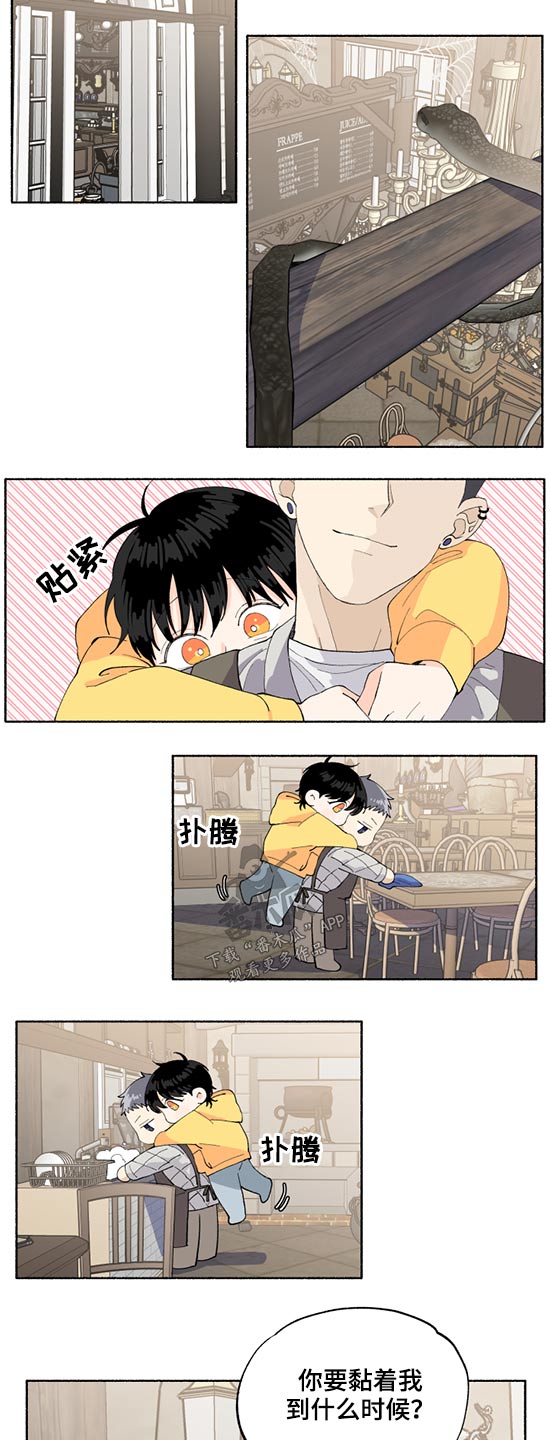 第46章：我的名字3