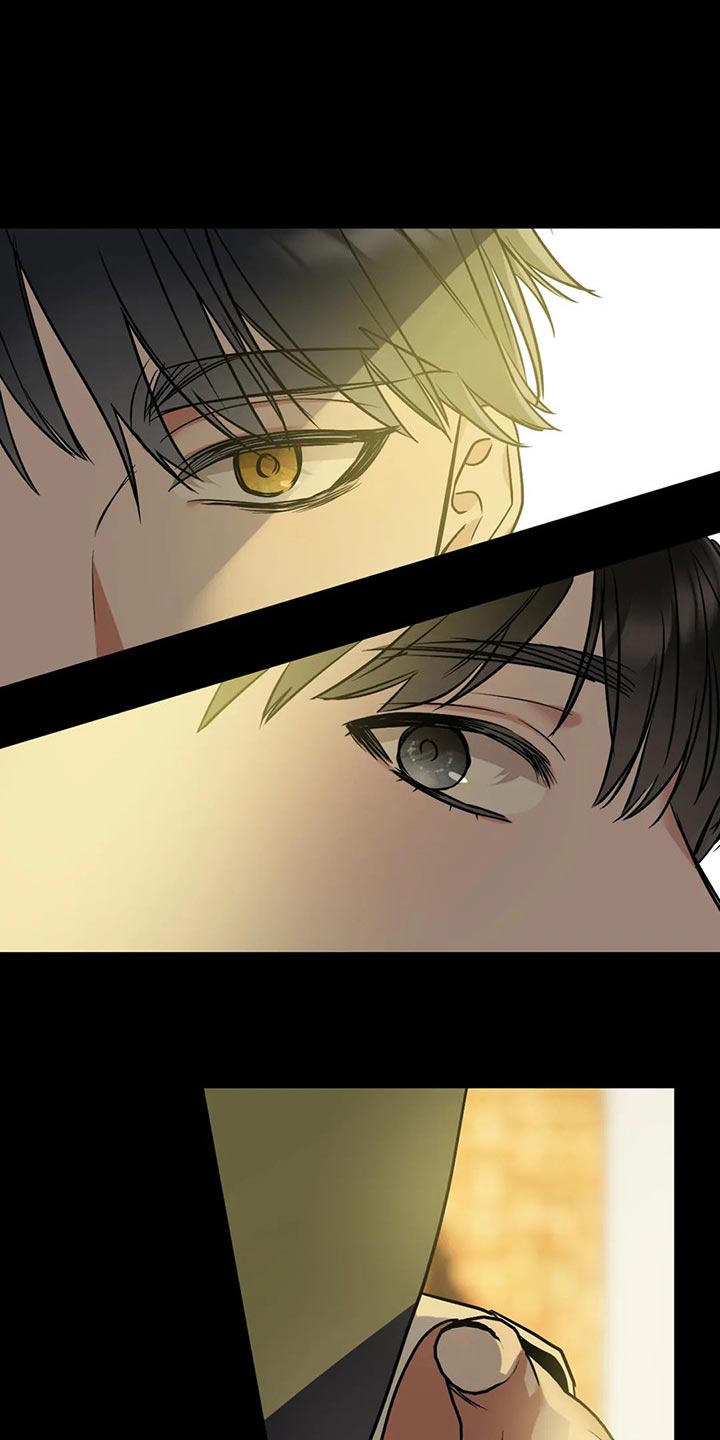 第80章：【第二季】各个方面0