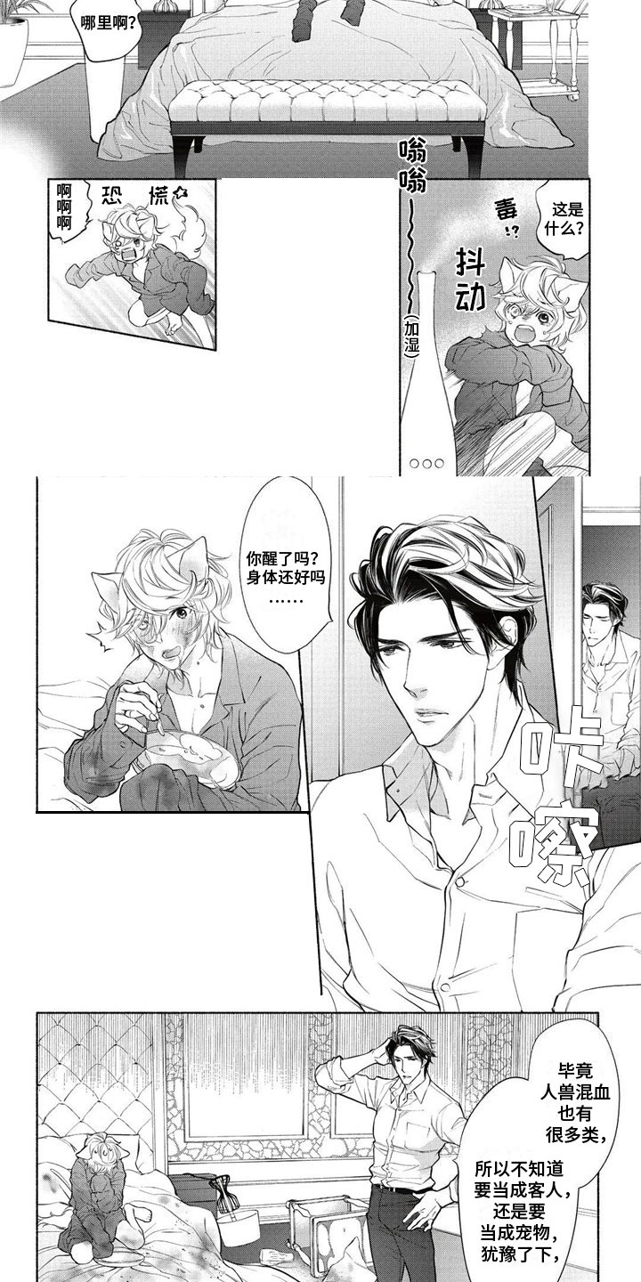 第2章：带回家3