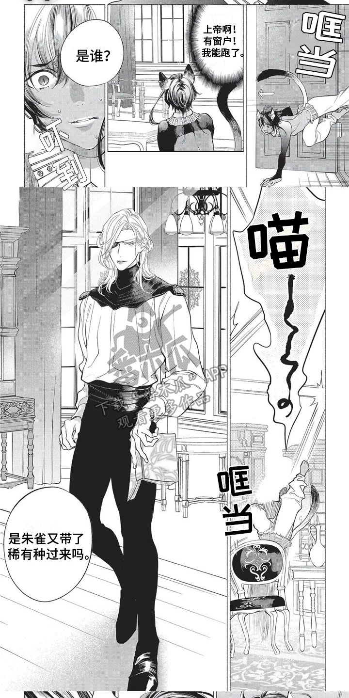 第17章：远离故乡4