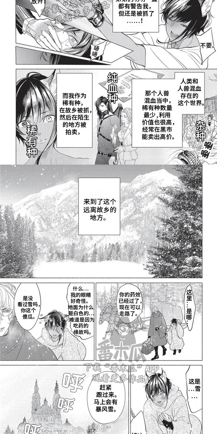 第17章：远离故乡1