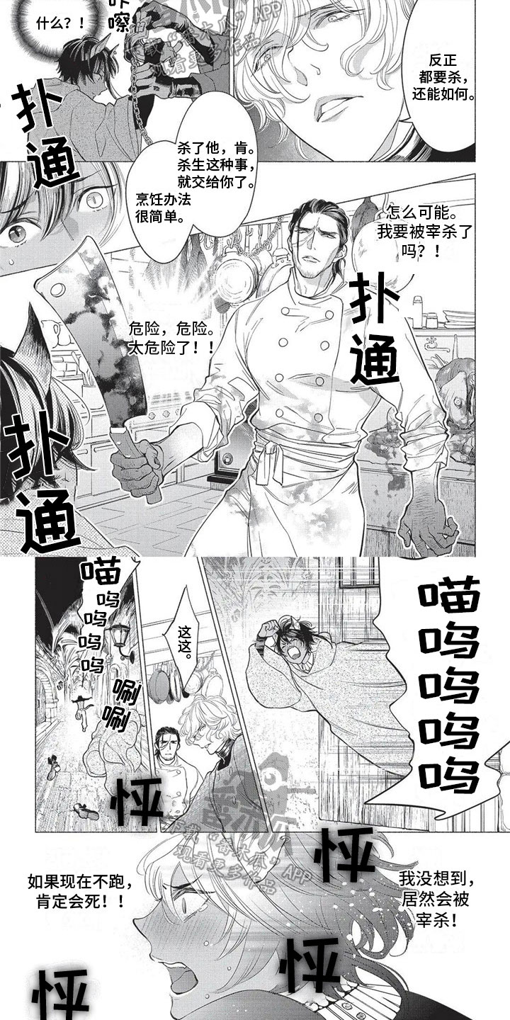 第17章：远离故乡3