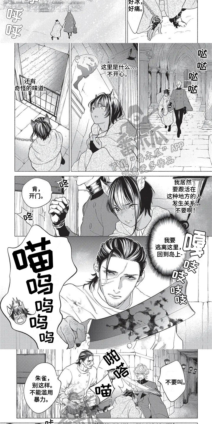 第17章：远离故乡2