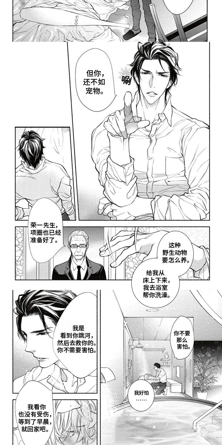 第2章：带回家4